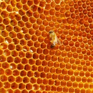 Honeycombs